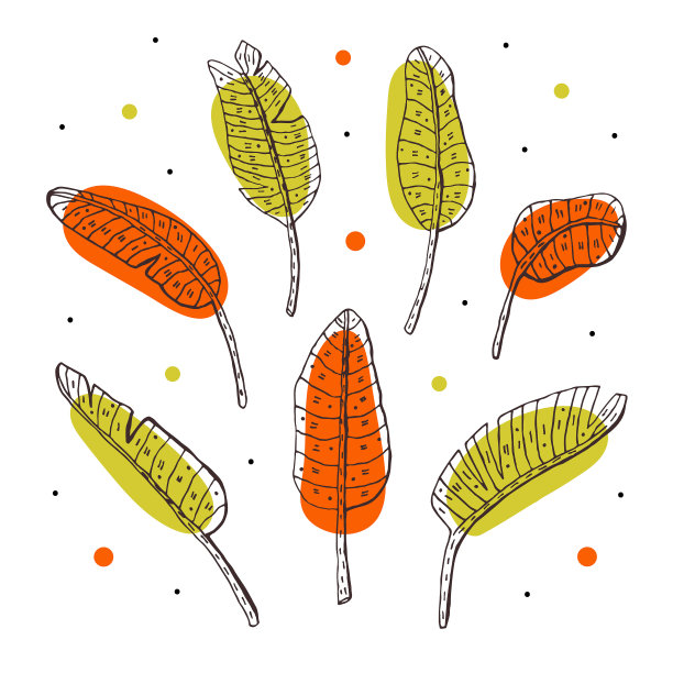 植物叶子矢量涂鸦剪贴画。图片下载