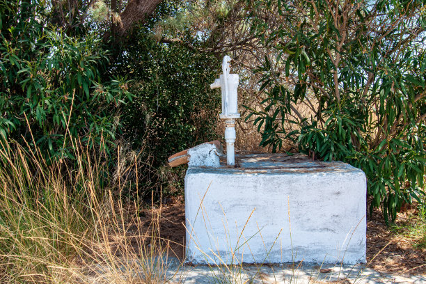 压力深井手泵。大自然中的老手水泵图片下载