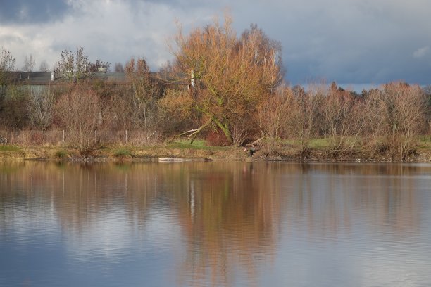 秋水清静图片下载