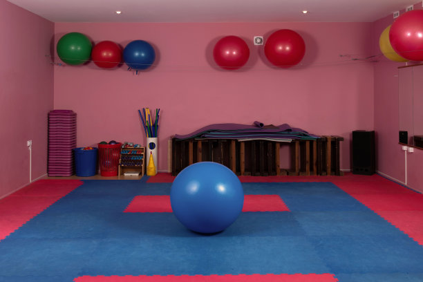 女人在健身球在一个健身房-形象图片下载