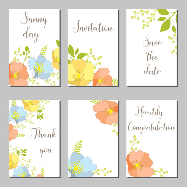 植物卡片上有野花和叶子。图片下载