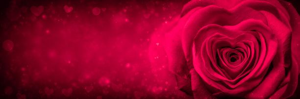 柔软的红玫瑰心形花瓣图片下载