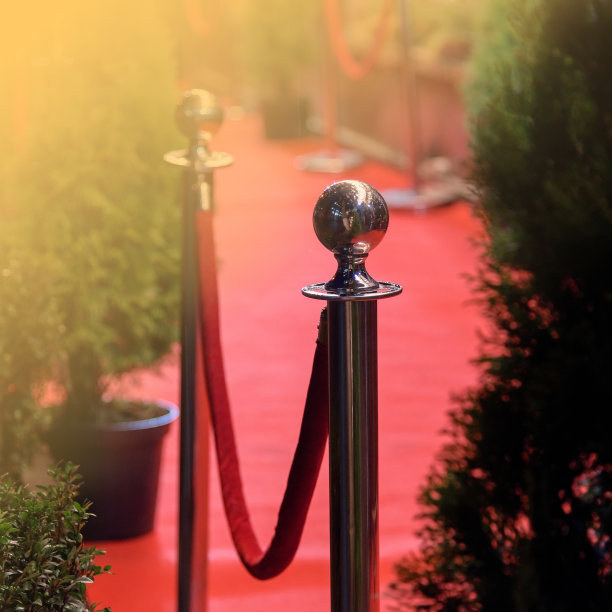 当晚的红地毯仪式图片下载