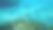 地中海彩虹濑鱼图片下载