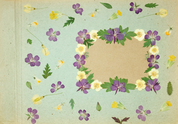 这是旧相册里开心果的颜色。剪贴簿元素装饰的叶子，花和花瓣野花。乡村风格的相册页在剪贴簿与相框的照片。图片下载