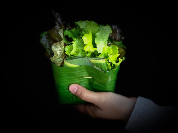 新鲜绿色蔬菜图片下载