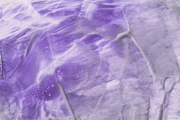 彩色背景照片图片下载