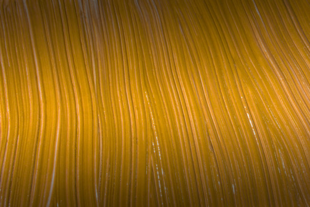 彩色背景照片图片下载