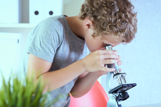 可爱的小学生在实验室书桌前看显微镜。年轻的科学家正在实验室里做实验。图片下载