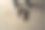 脚边刚摘的竹笋图片下载
