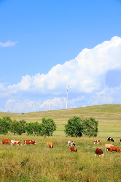 草原上有牛和风力涡轮机图片下载