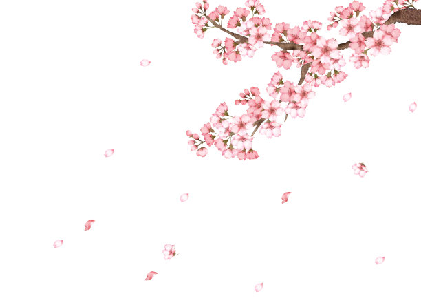 樱花插画图片下载