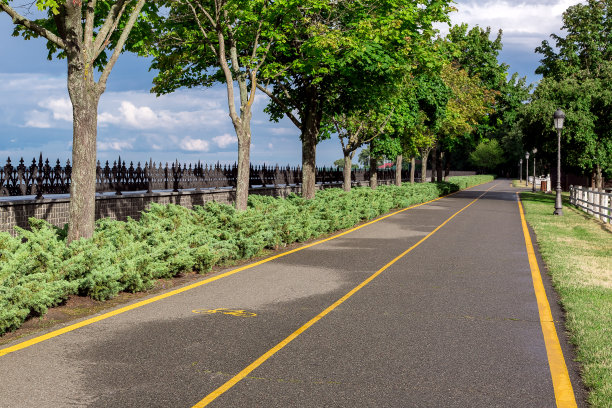 柏油路以黄色自行车为标志，自行车道在公园里，在一个阳光明媚的夏日，旁边的灌木丛中有绿树和灯笼。图片下载