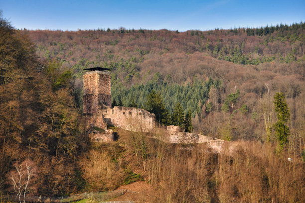旧城堡废墟被称为“Hinterburg”或“Alt Schadeck”，位于奥登瓦尔德森林中央的Neckarsteinach镇的四个城堡之一图片下载
