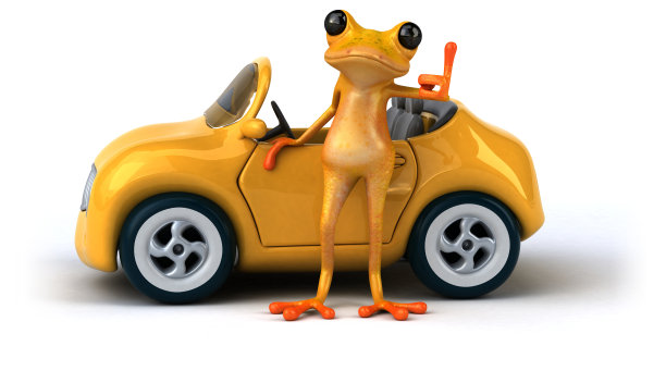 有趣的青蛙- 3D插图图片下载