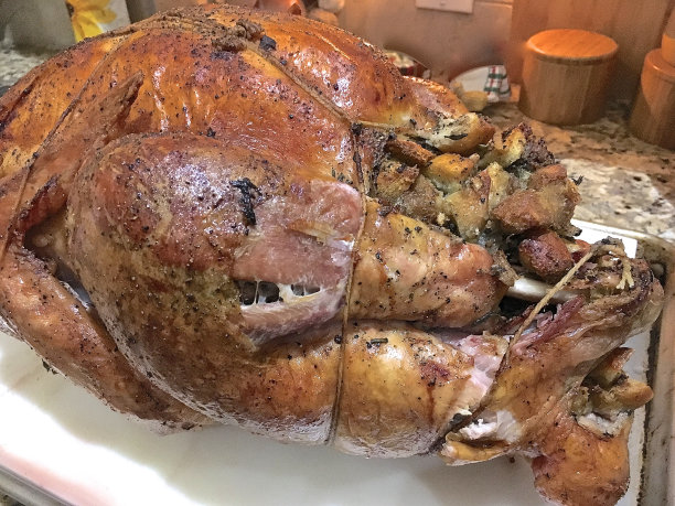 火鸡和填料图片下载