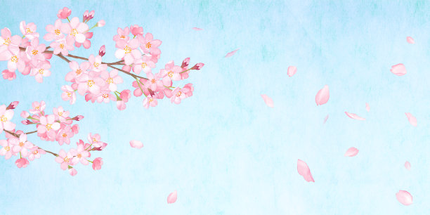 春天的花:在天蓝色的日本纸的映衬下，用水彩画出的花瓣与复制空间图片下载