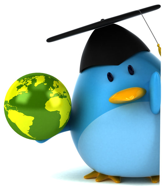 蓝鸟- 3D插图图片下载