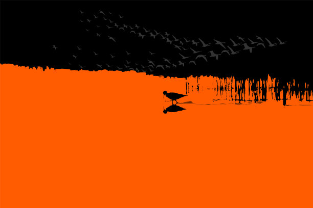 日落自然和鸟类。矢量图像。红黑色背景。图片下载