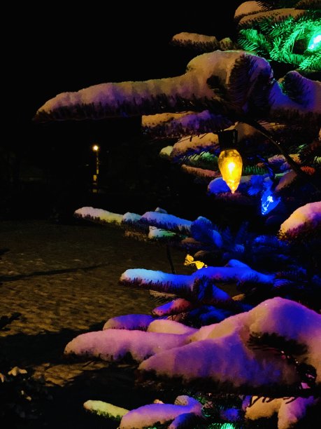 白色圣诞节图片下载