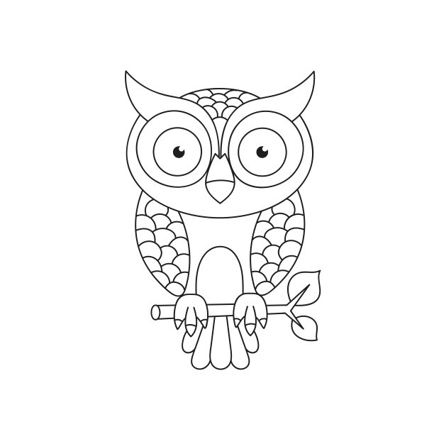 猫头鹰孤立在白色背景适合贺卡，海报或t恤印刷。图片下载