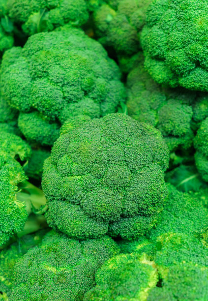 村里种植了新鲜的绿色生态椰菜。图片下载