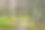 树木成行，阳光明媚，斑驳的自然小径在秋天公园图片下载