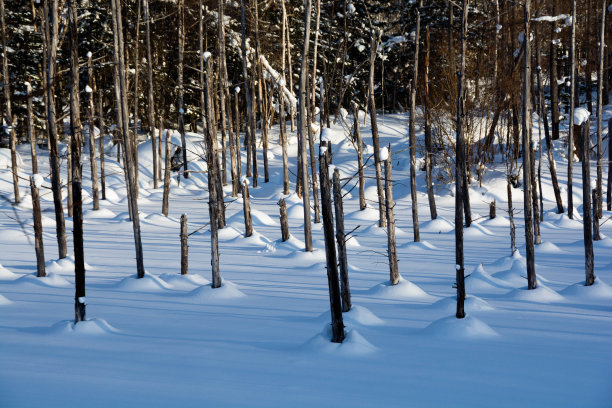 别镇的冬湖图片下载
