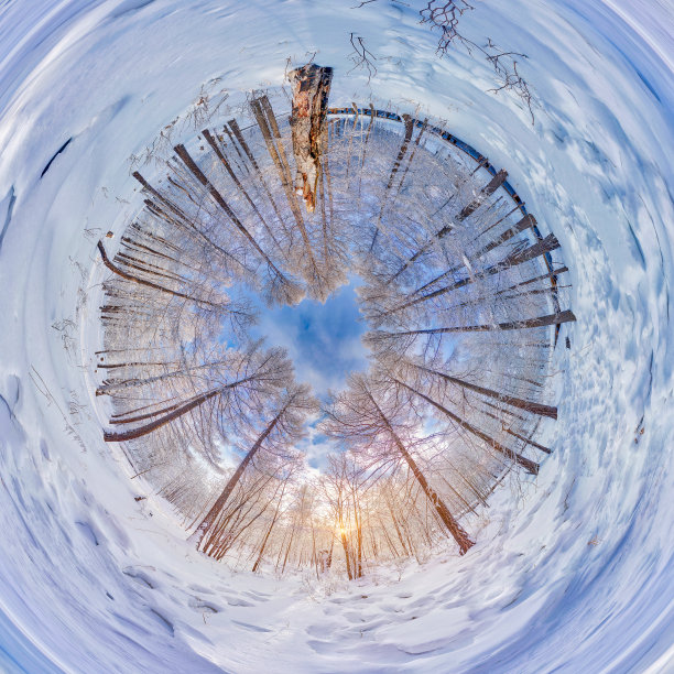 冬日森林创意照片图片下载