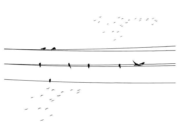鸟在电线。矢量图像。白色背景。图片下载