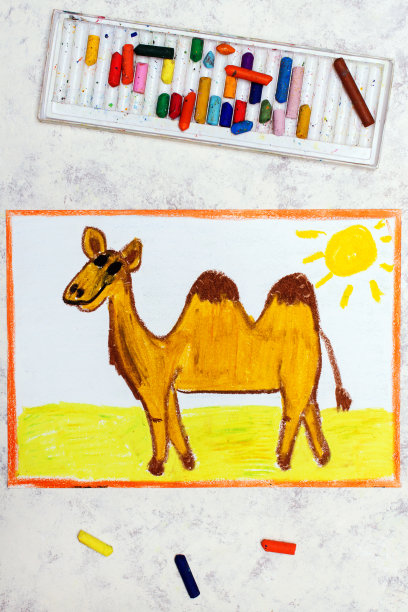 彩色图片:可爱微笑的骆驼，背上有两个驼峰。双峰骆驼。图片下载