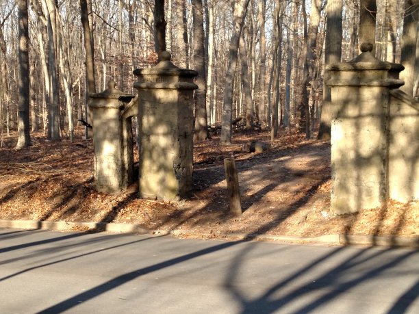 冬天的阴影。图片下载