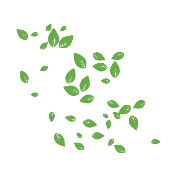 薄荷叶子背景图片下载