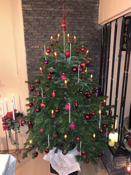 在矿石山的圣诞树图片下载