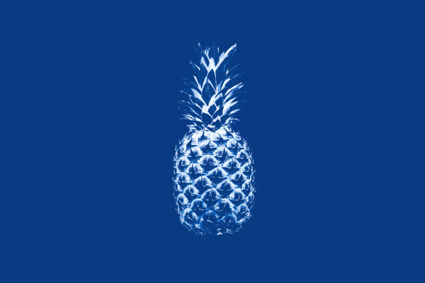 蓝色背景上的单色菠萝。抽象概念，超现实主义，2020年色彩，食物。图片下载