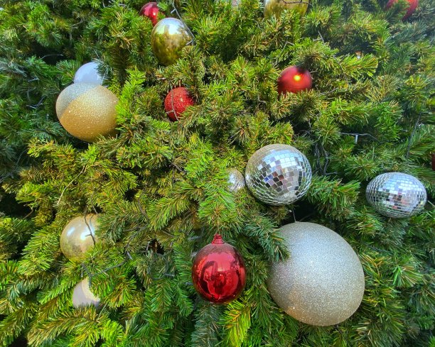金色的红色的银色的圣诞装饰球装饰在绿色的圣诞树上图片下载