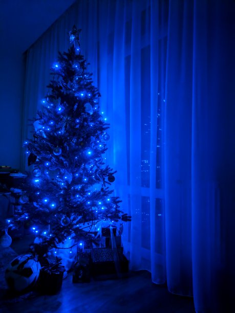 挂着蓝色灯的圣诞树图片下载