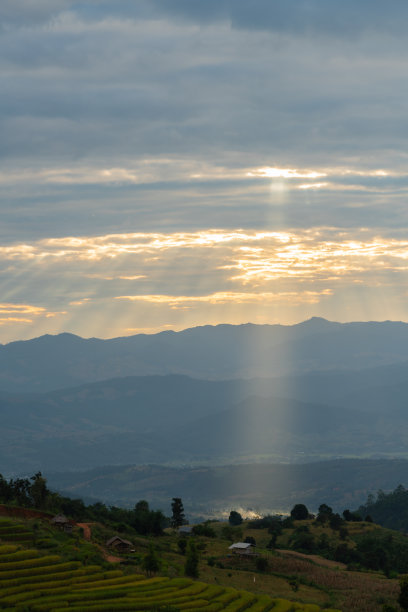 阳光照在美丽的梯田上图片下载
