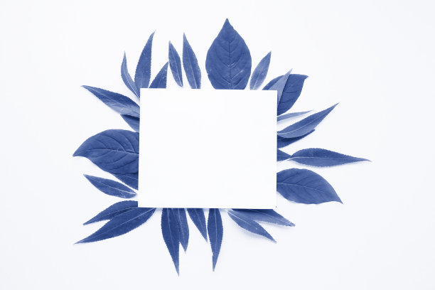 文字框架由新鲜的绿叶和白纸制成。白底构图。俯视图，平放。创造性的极简主义。2020年流行经典蓝色调图片下载