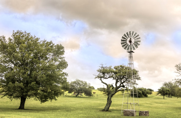 家畜场，马球马在优秀的自然牧场，潮湿的Pampa, Córdoba，阿根廷。图片下载