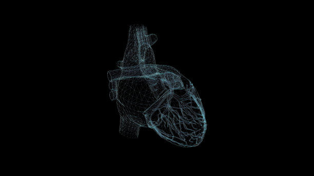 心全息图线框图。漂亮的3D渲染在一个黑色的背景图片下载
