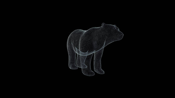 全息图线框图。漂亮的3D渲染在一个黑色的背景图片下载