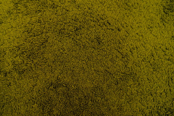 背景为绿色超细纤维布。用于清洁的织物质地图片下载