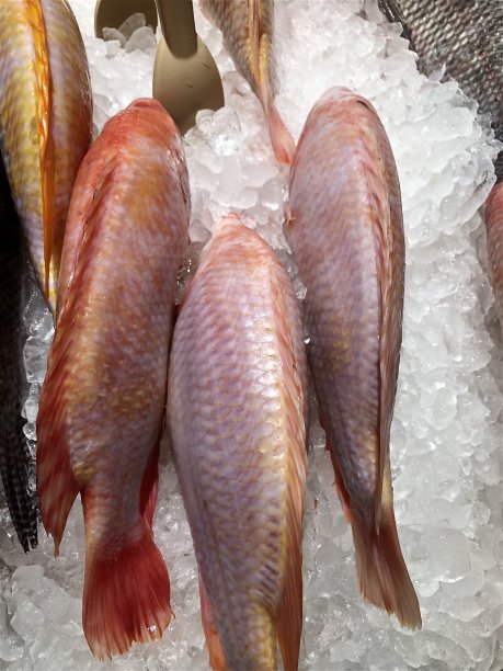 超市柜台的鲜鱼图片图片下载