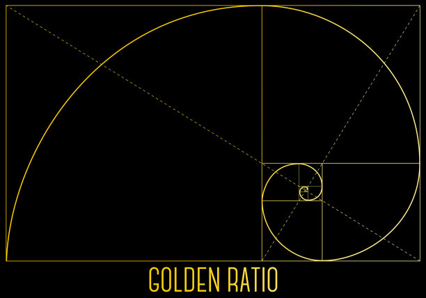 黄金比例，矢量插图图片下载