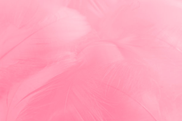 美丽抽象多彩的白色和粉红色羽毛在白色的背景和柔软的白色红色羽毛纹理在粉红色的图案，粉红色的背景图片下载