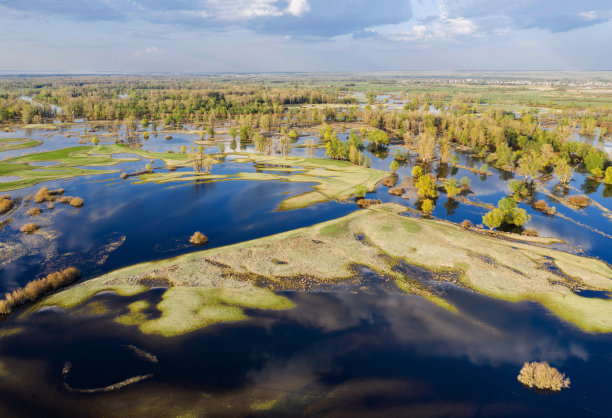 春天溢出景观图片下载