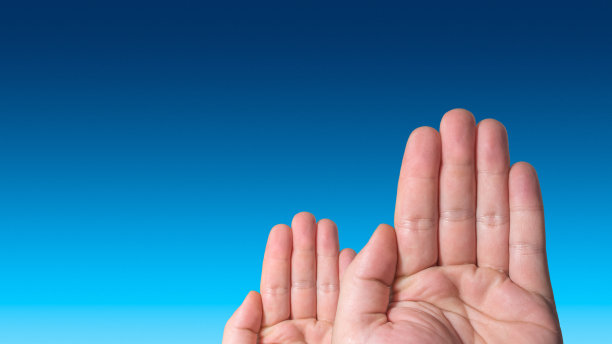 两只投票手，一个更大，另一个更小，在蓝色渐变天空粘贴空间，细节，特写图片下载