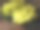 桌上葡萄特写镜头图片下载