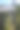 斯洛伐克Zdiar的一条树林小径图片下载